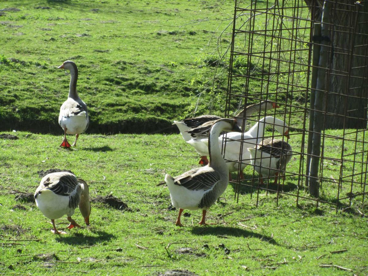 Vandenstampershoek B&B Damme Luaran gambar